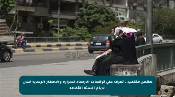 طقس متقلب.. تعرف على توقعات الأرصاد للحرارة والأمطار الرعدية خلال الأيام الستة القادمة
